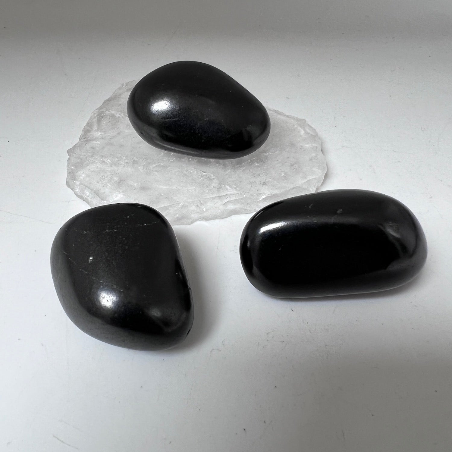 Shungite Large Pebble
