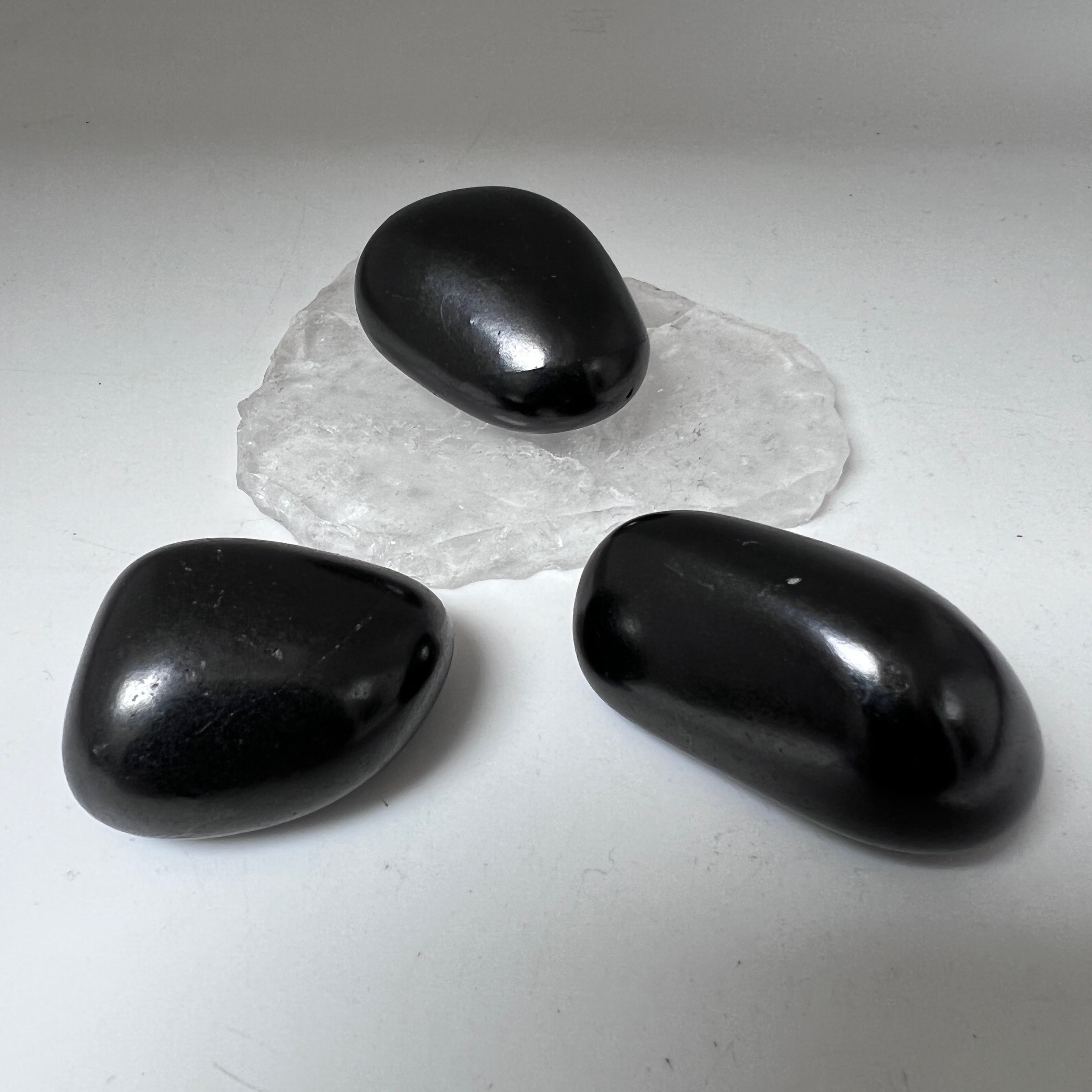 Shungite Large Pebble