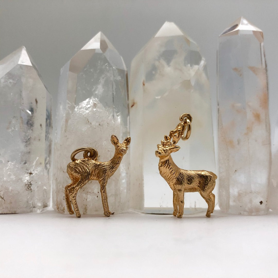 5 Woodland Animals & Their Symbolism