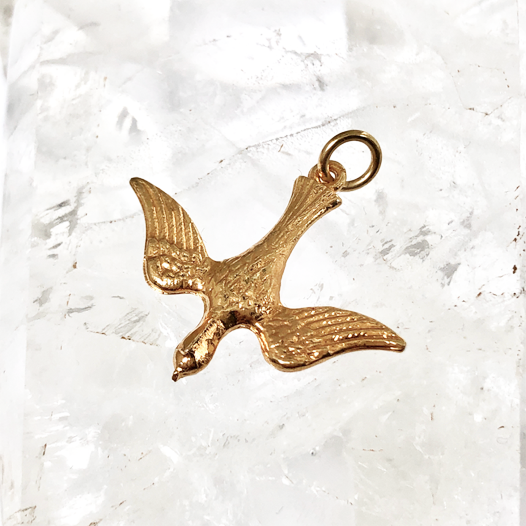 5 Symbolic Birds