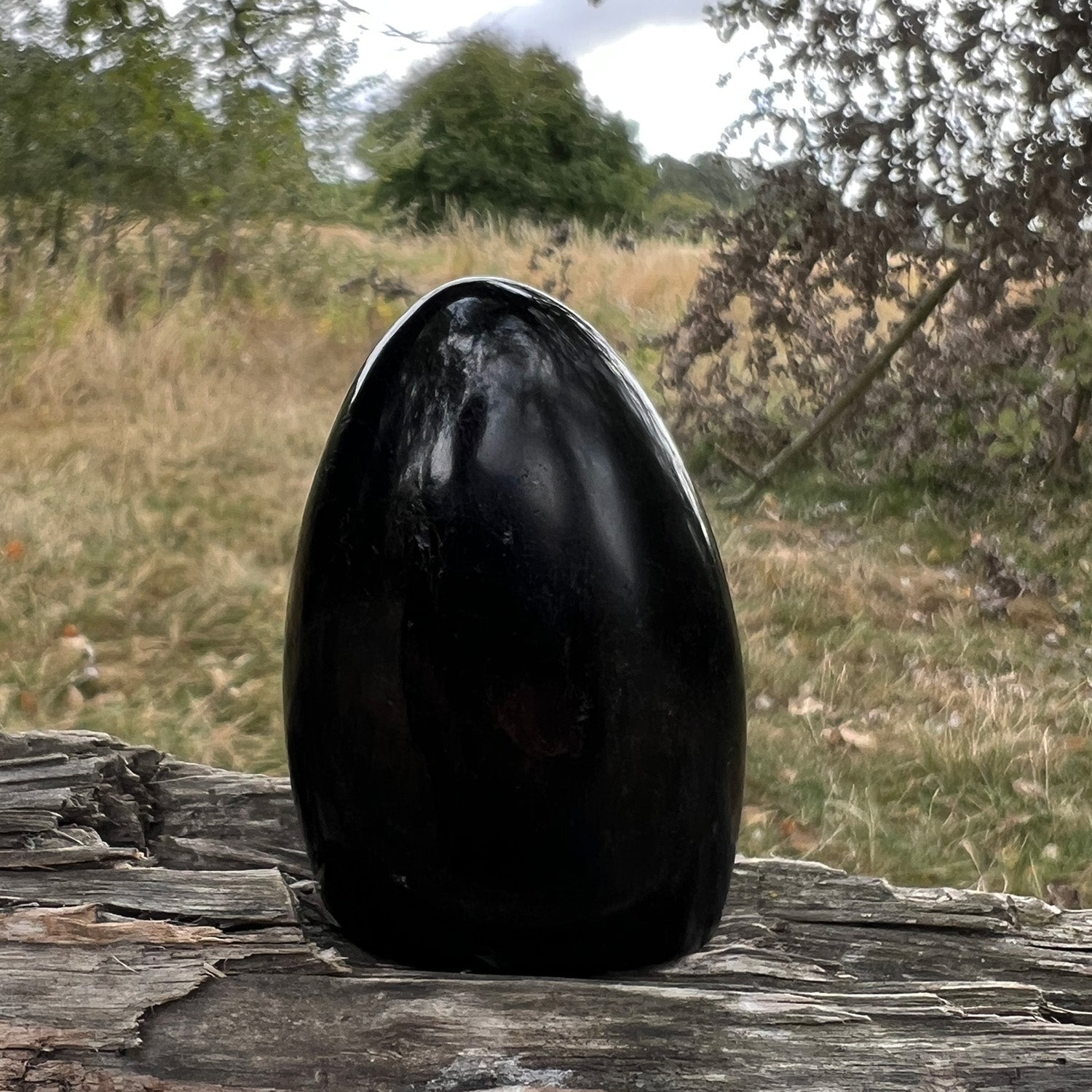 Black Tourmaline Dome Shaped From Madagascar