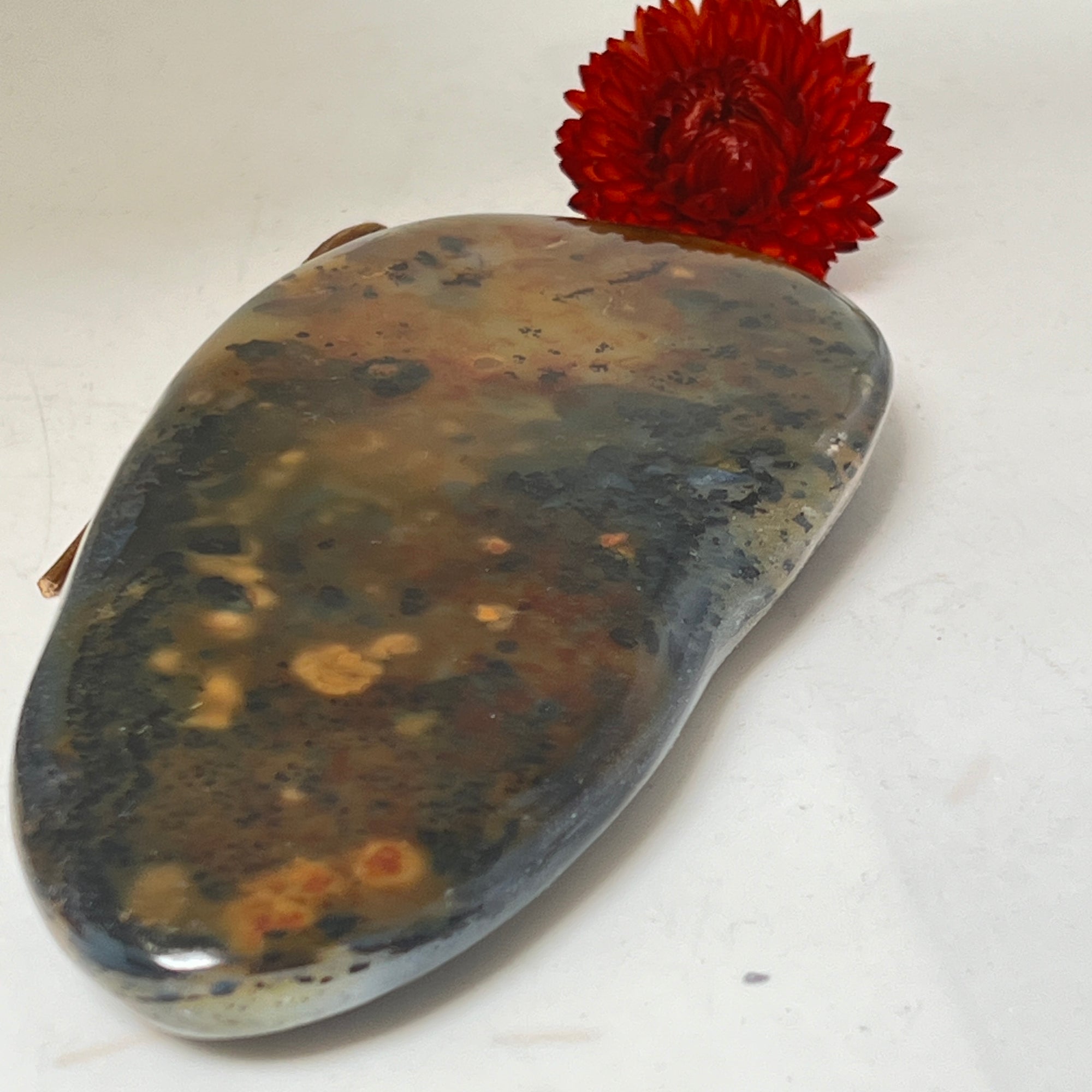 Unique Orbicular  Jasper  Freeform from Madagascar