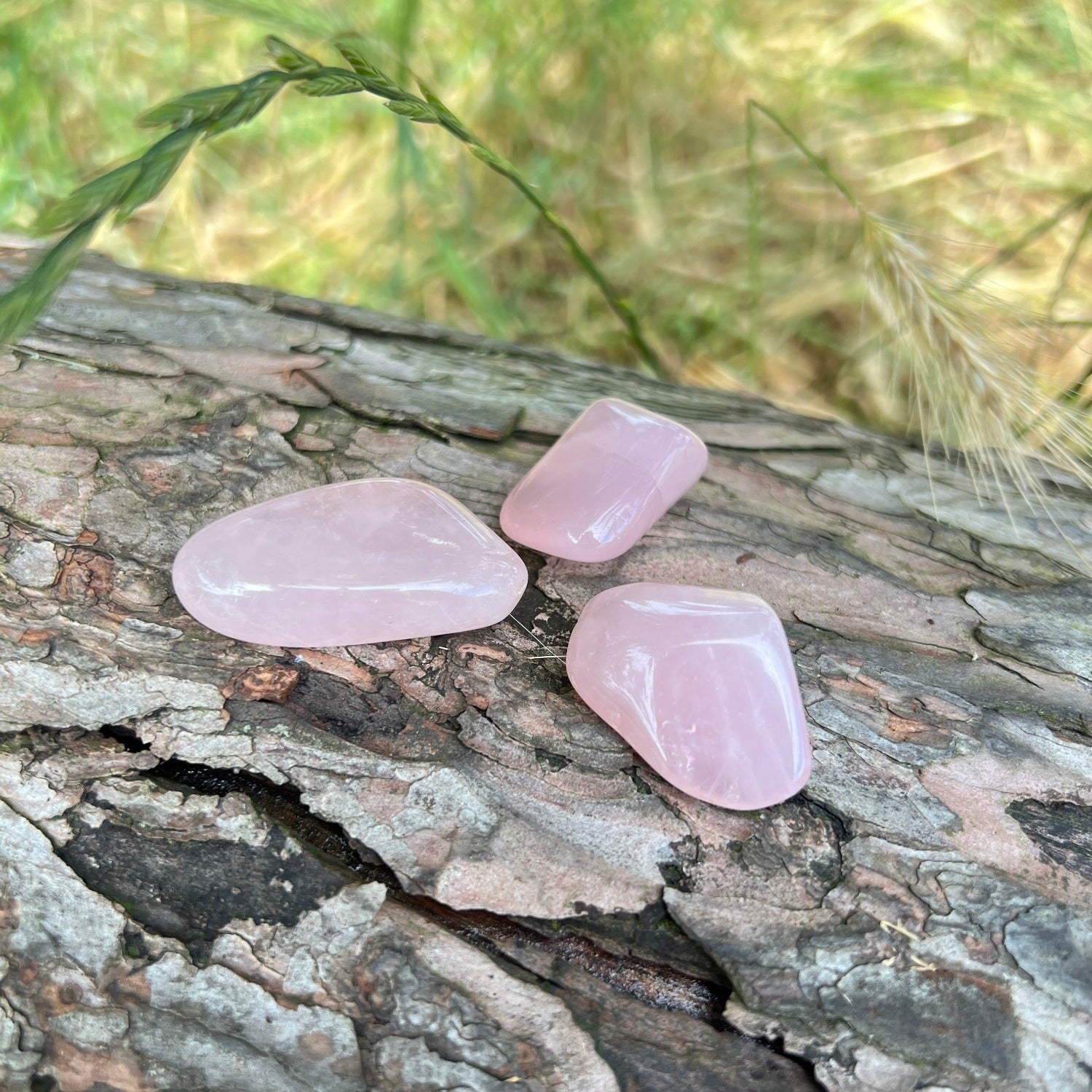 Rose quartz pebbles for Love