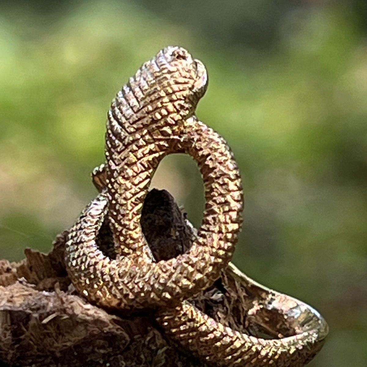 Large Snake Ring