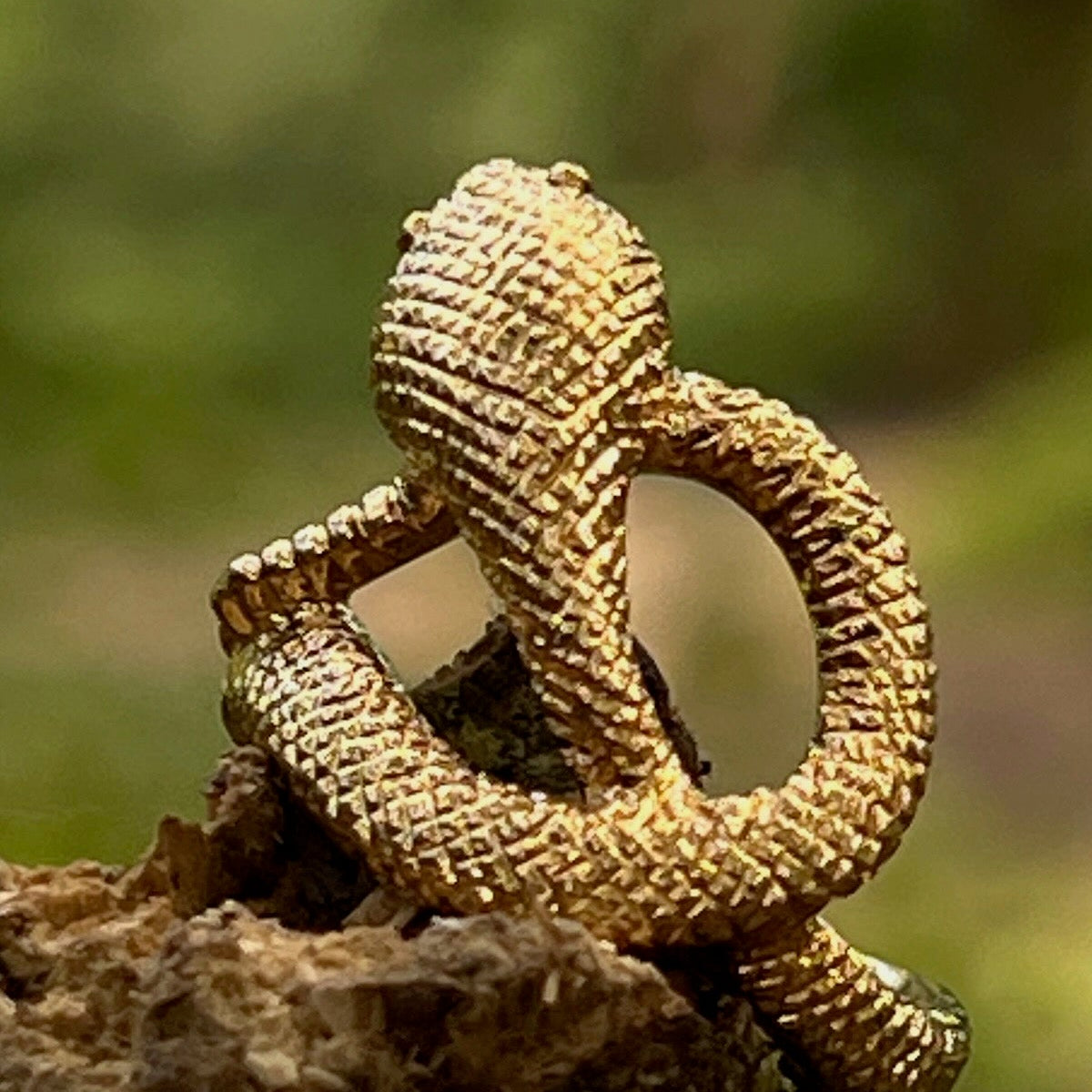 Large Snake Ring