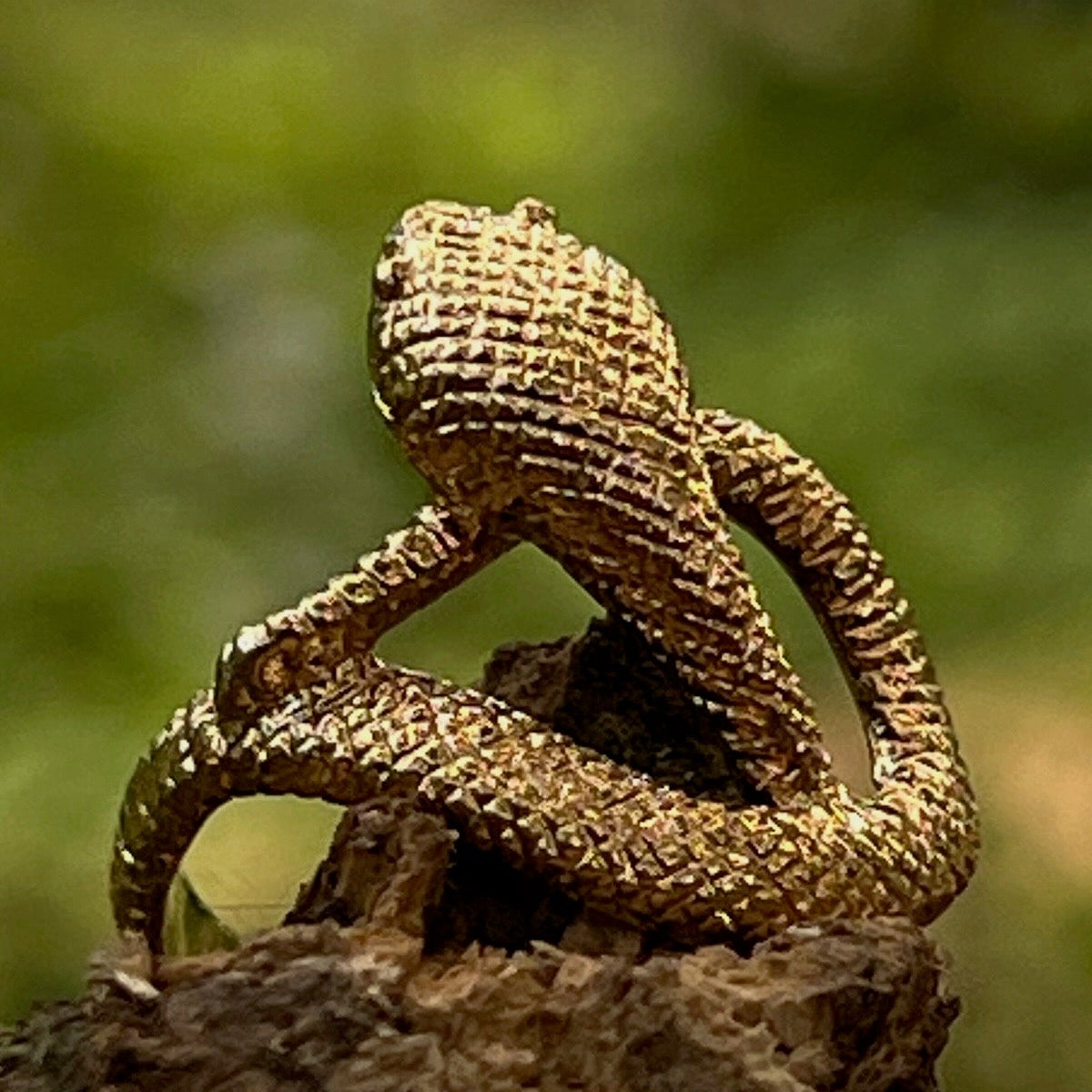 Large Snake Ring