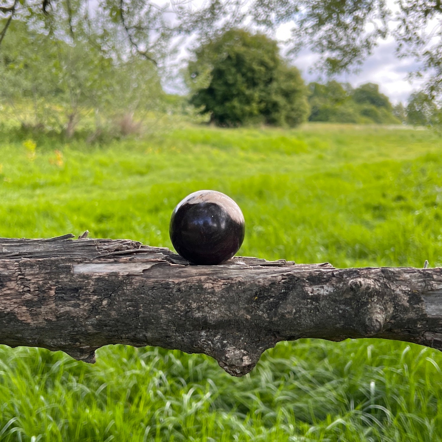 Unique Petrified wood Sphere  from Java