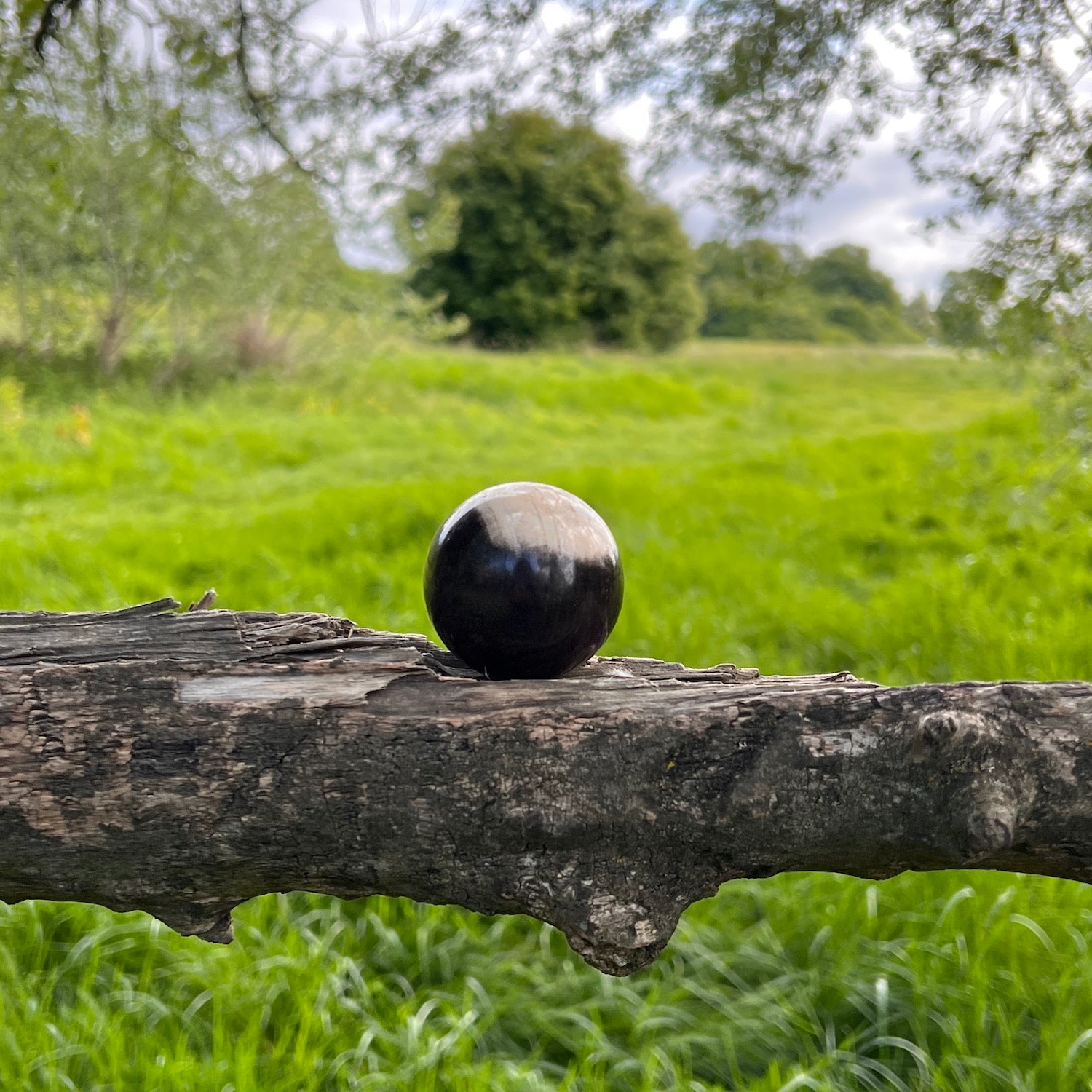 Unique Petrified wood Sphere  from Java
