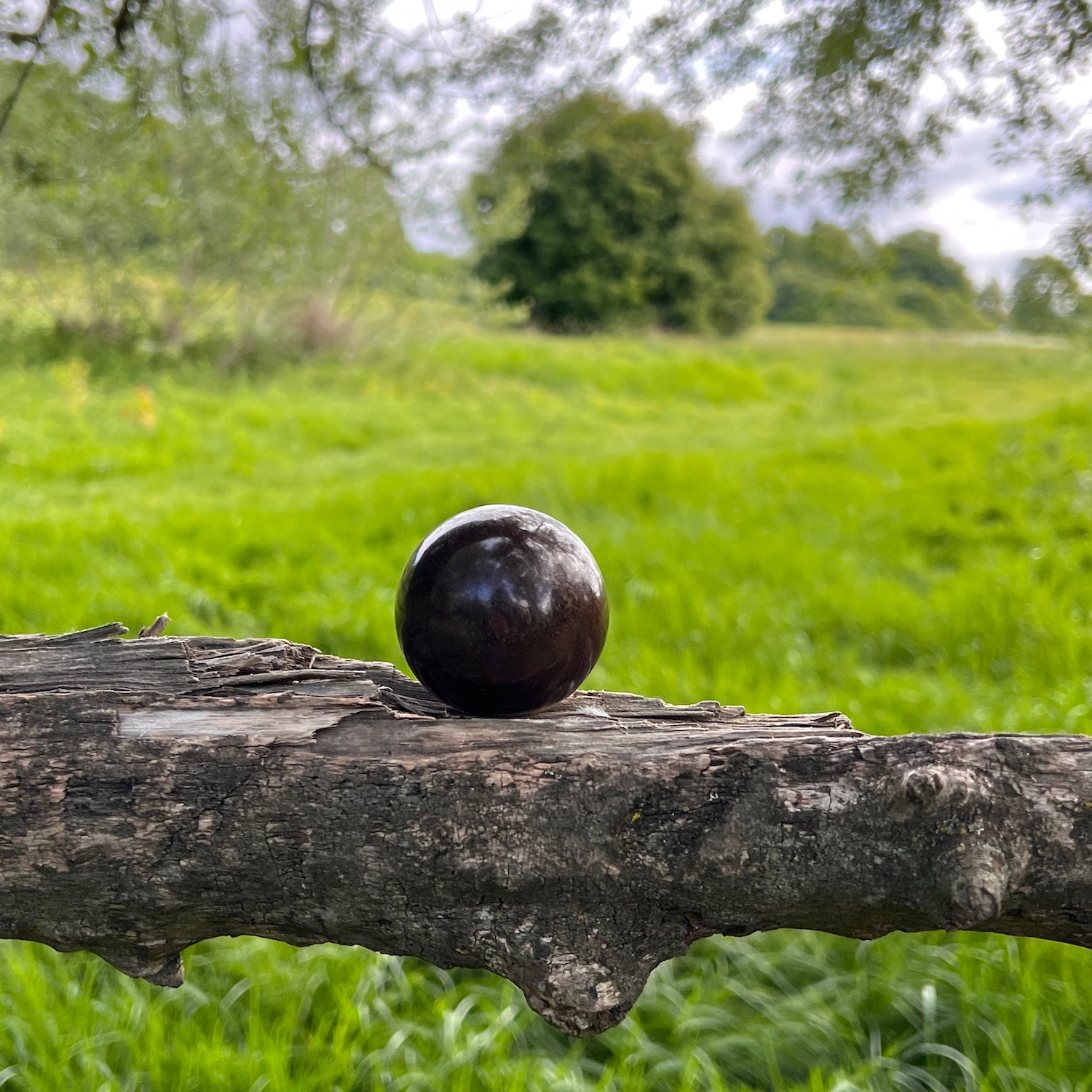 Unique Petrified wood Sphere  from Java