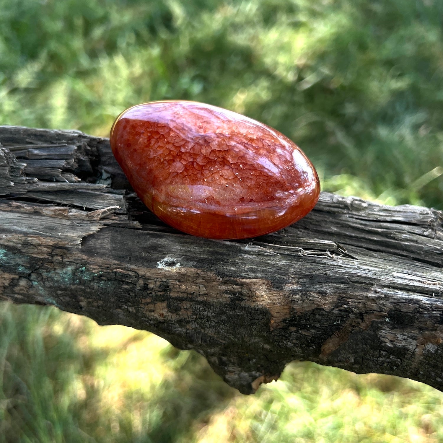Carnelian large Pebble  Stone from Madagascar