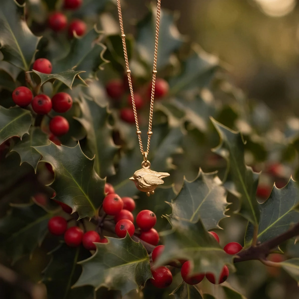 Robin Charm on Biba Chain