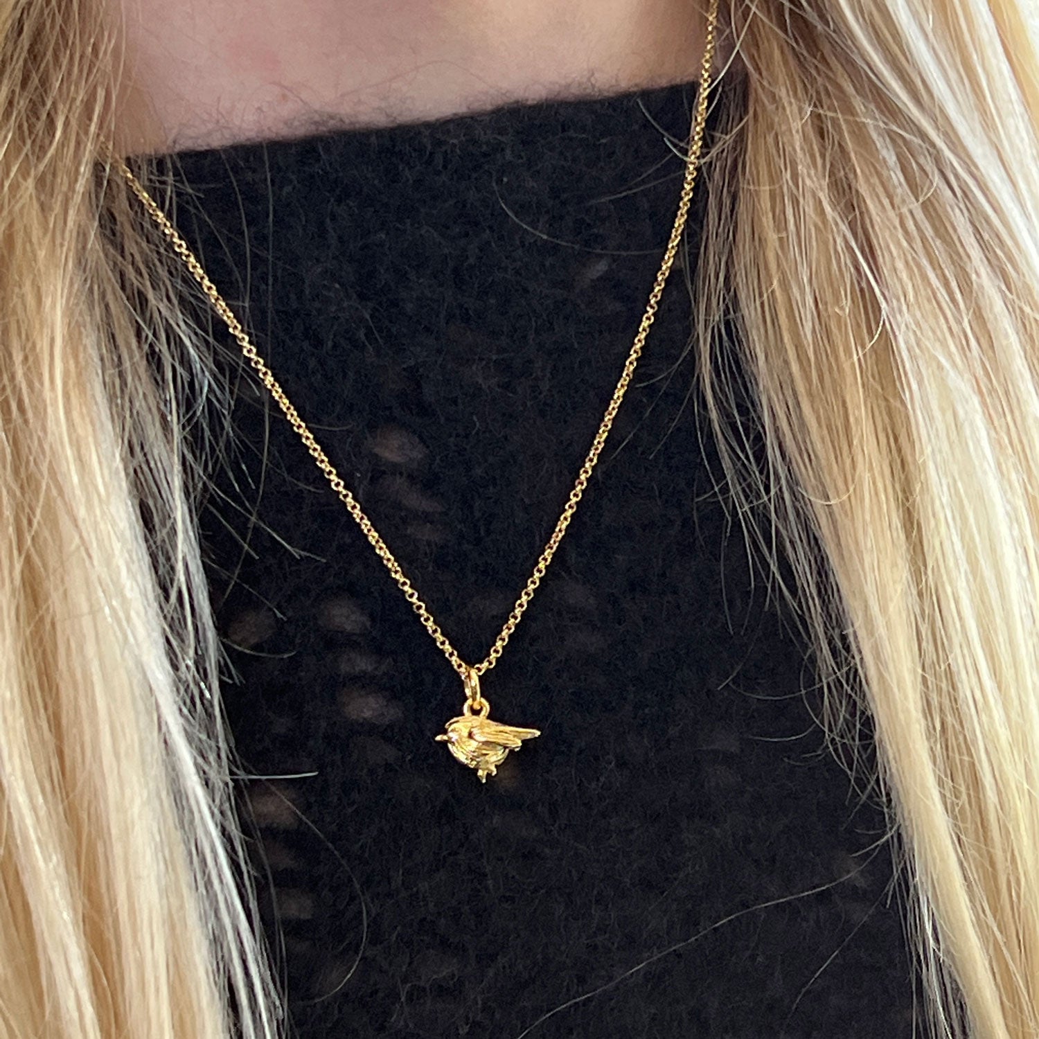 Robin Charm on Rollo Chain