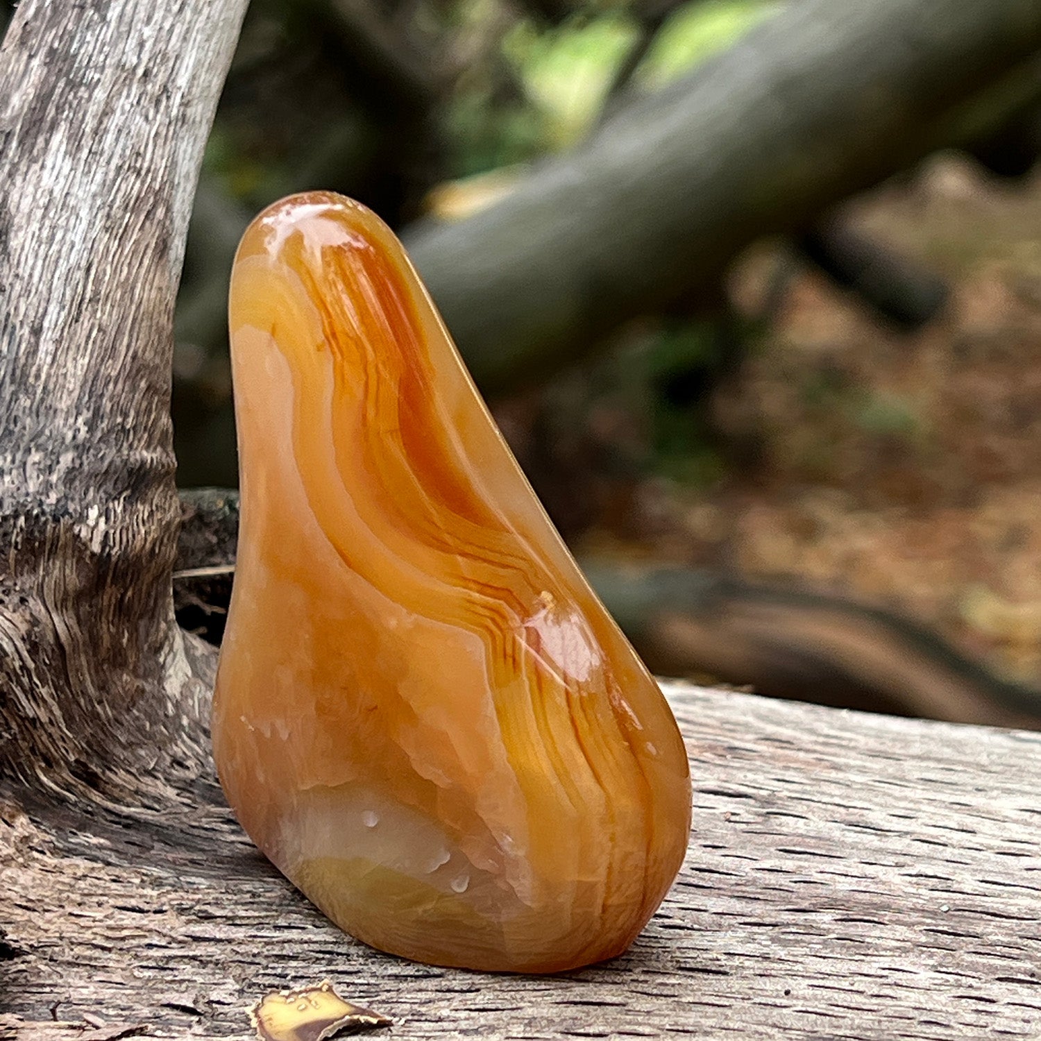 Unique Freeform Carnelian From Madagascar