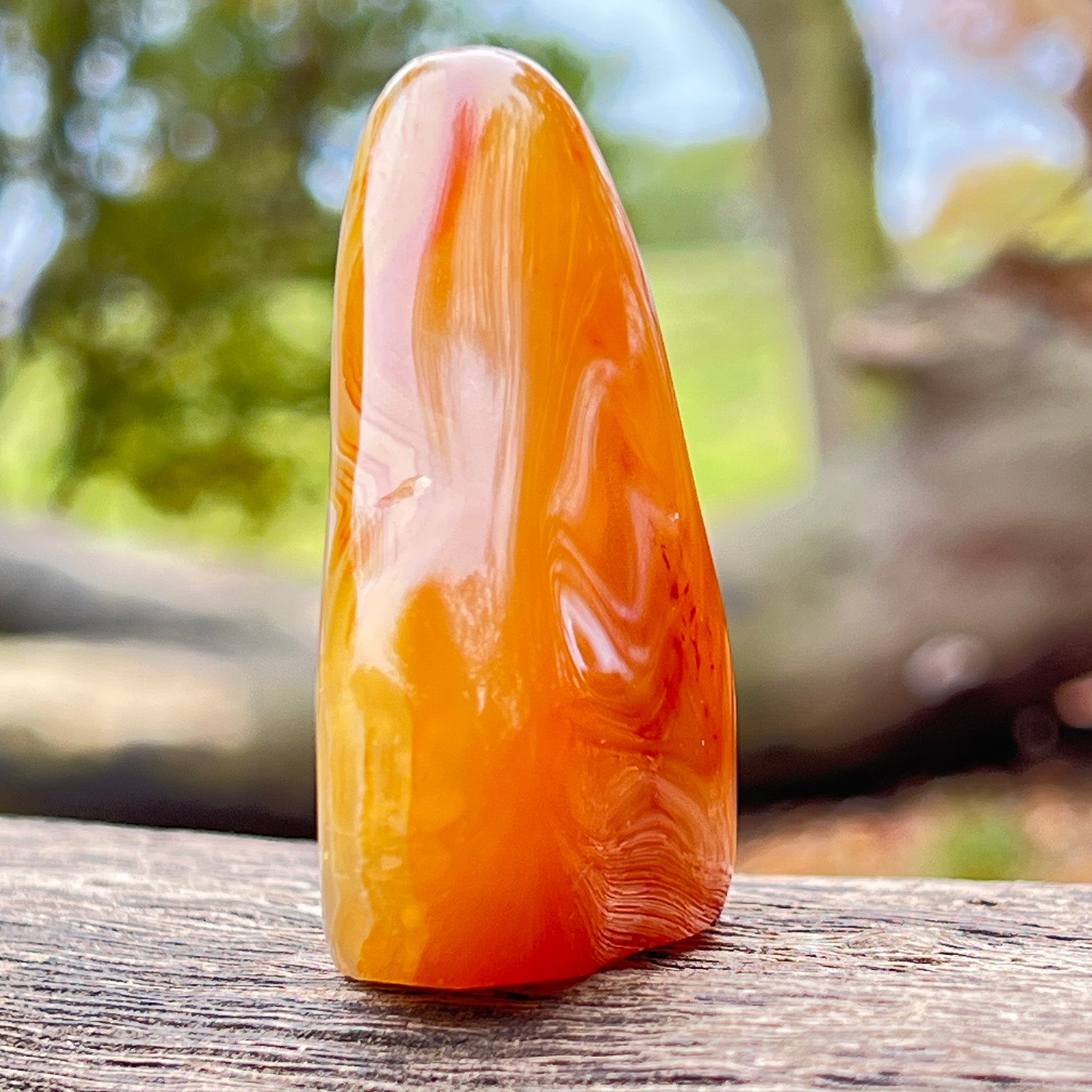 Unique Freeform Carnelian From Madagascar