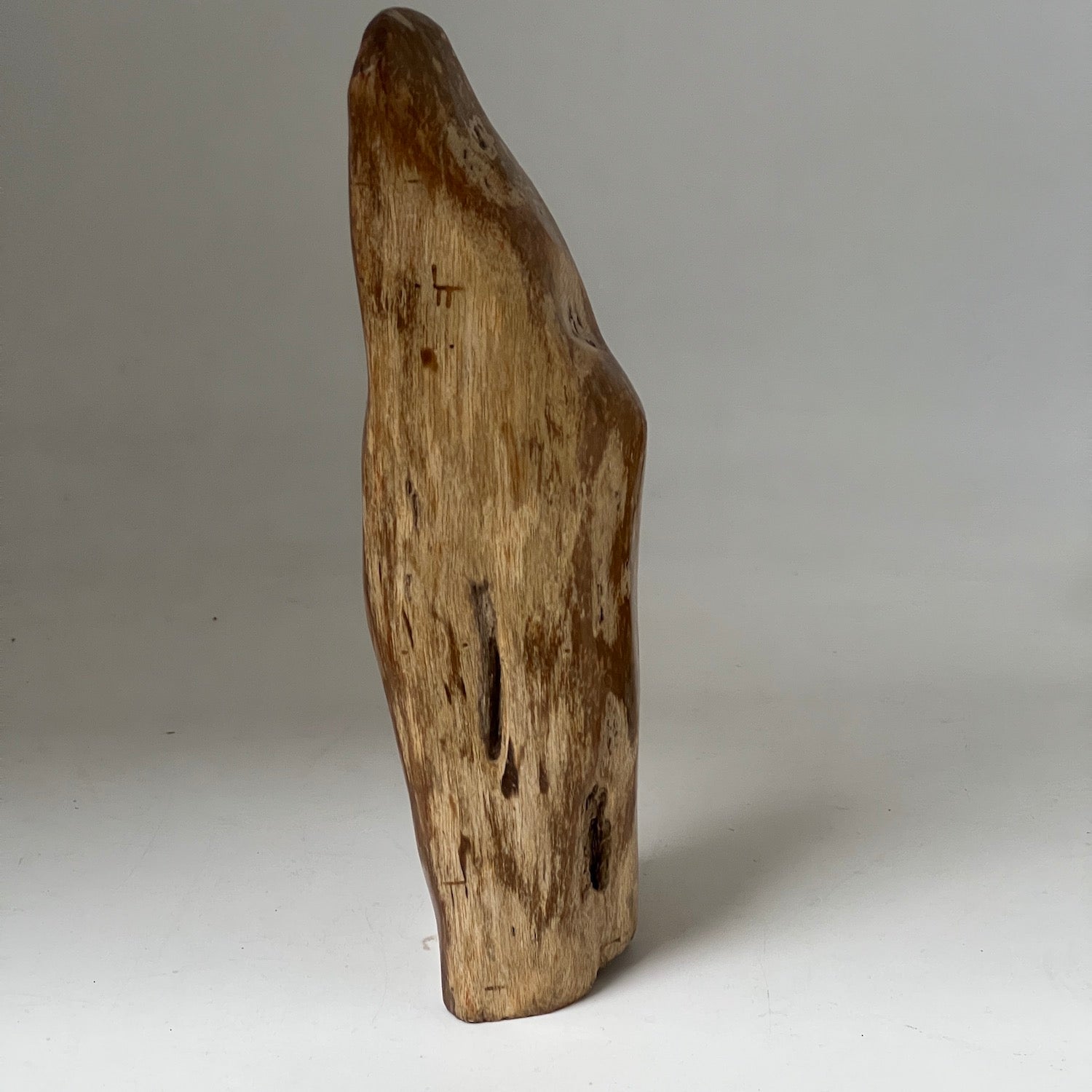 Unique Petrified wood from Java