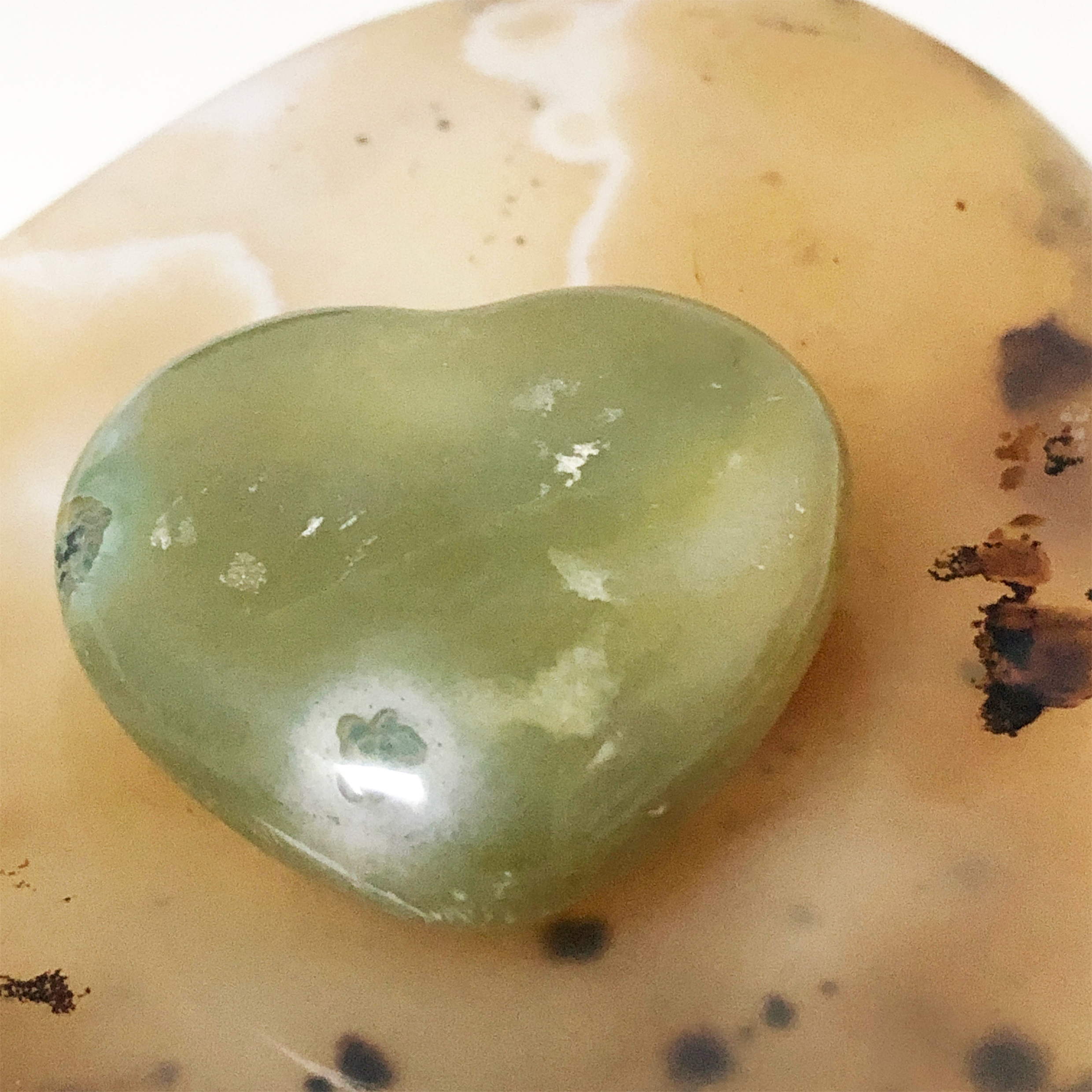 Orbicular Ocean Jasper Heart