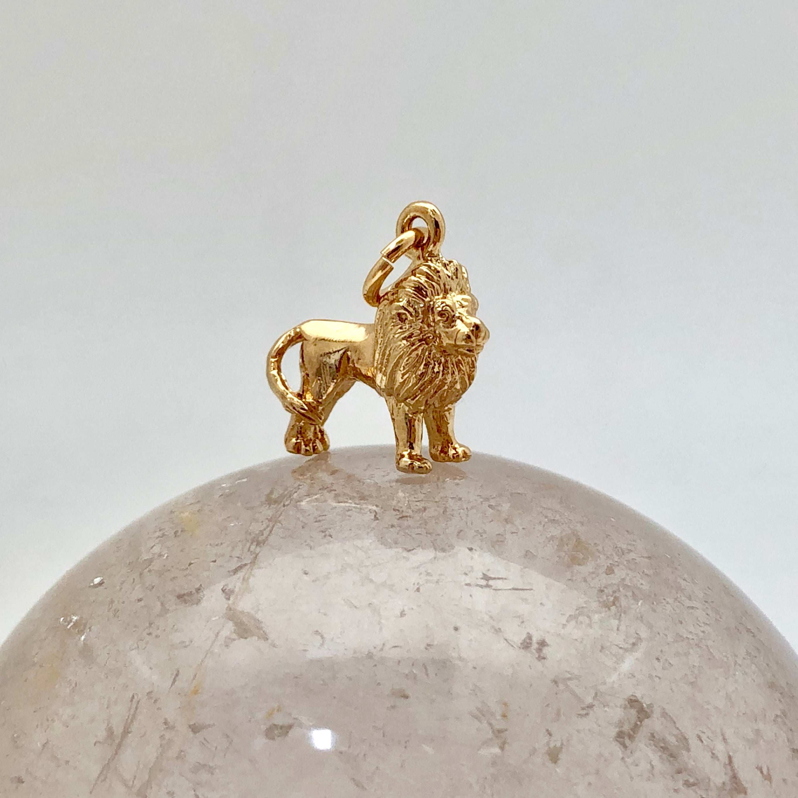 Lion Charm - Mirabelle Jewellery