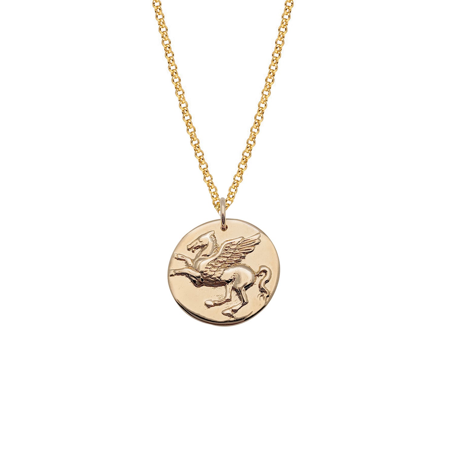 Pegasus Medal on Long Baby Belcher chain
