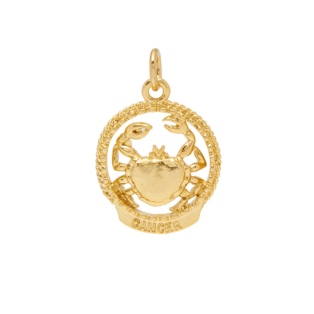 Zodiac Rope Frame Medal - Mirabelle Jewellery